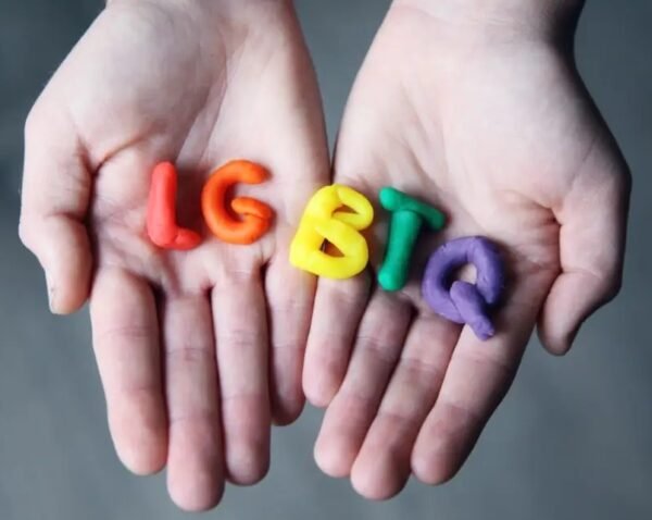 Especialização em Direitos LGBT